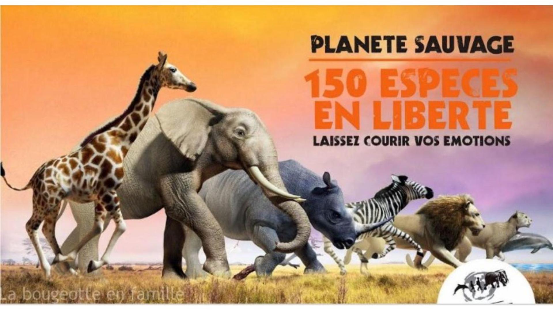 "La Voute De Pierre" Gite Independant Saint-Cyr  外观 照片